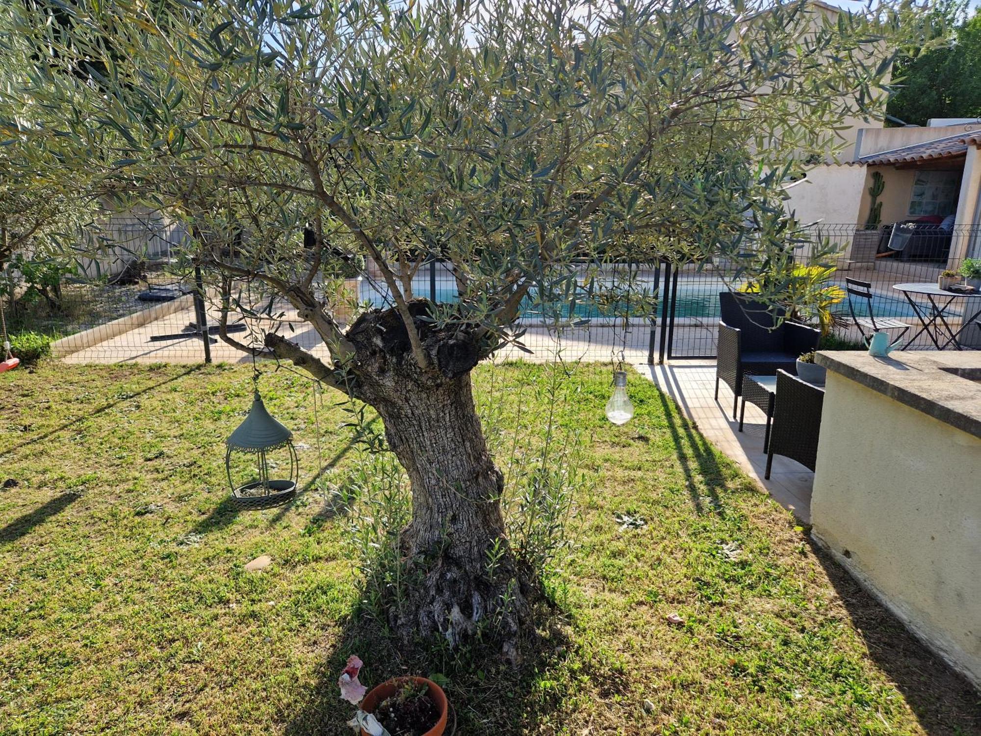Le Cabanon De Lea Apartamento Tavel Exterior foto